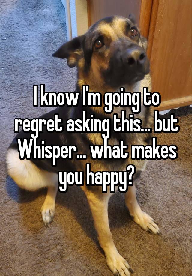 I know I'm going to regret asking this... but Whisper... what makes you happy?