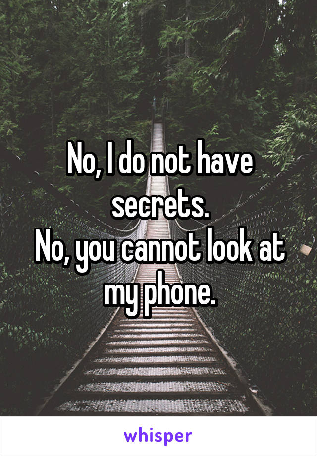 No, I do not have secrets.
No, you cannot look at my phone.