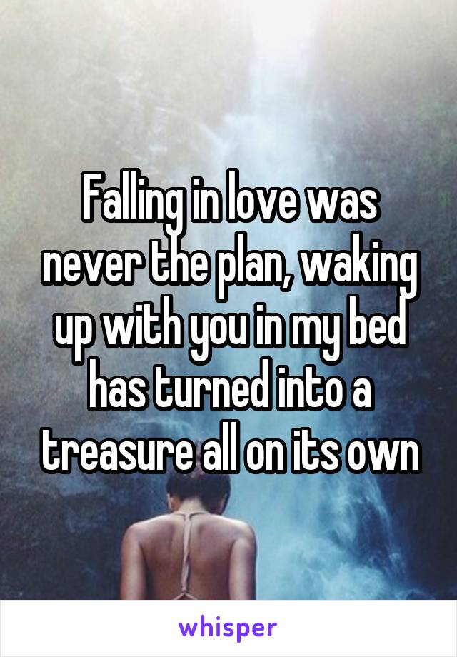 Falling in love was never the plan, waking up with you in my bed has turned into a treasure all on its own