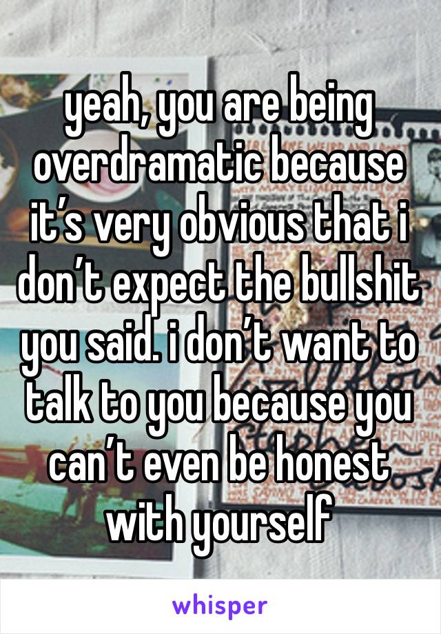 yeah, you are being overdramatic because it’s very obvious that i don’t expect the bullshit you said. i don’t want to talk to you because you can’t even be honest with yourself 