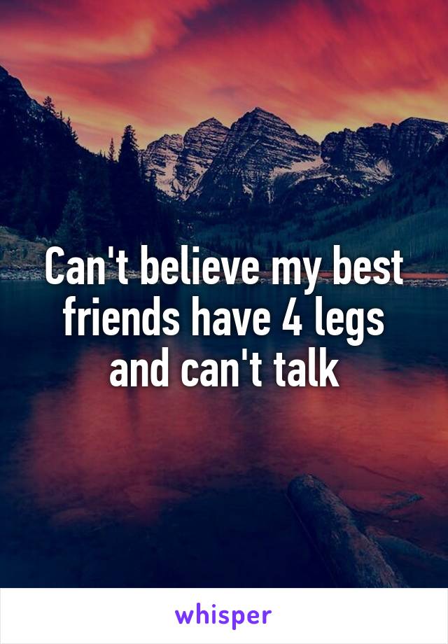 Can't believe my best friends have 4 legs and can't talk