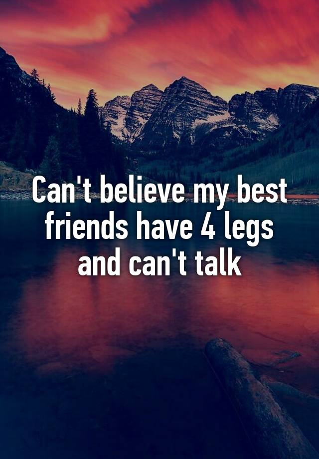 Can't believe my best friends have 4 legs and can't talk