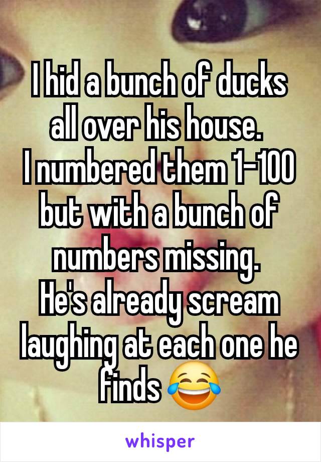 I hid a bunch of ducks all over his house. 
I numbered them 1-100 but with a bunch of numbers missing. 
He's already scream laughing at each one he finds 😂