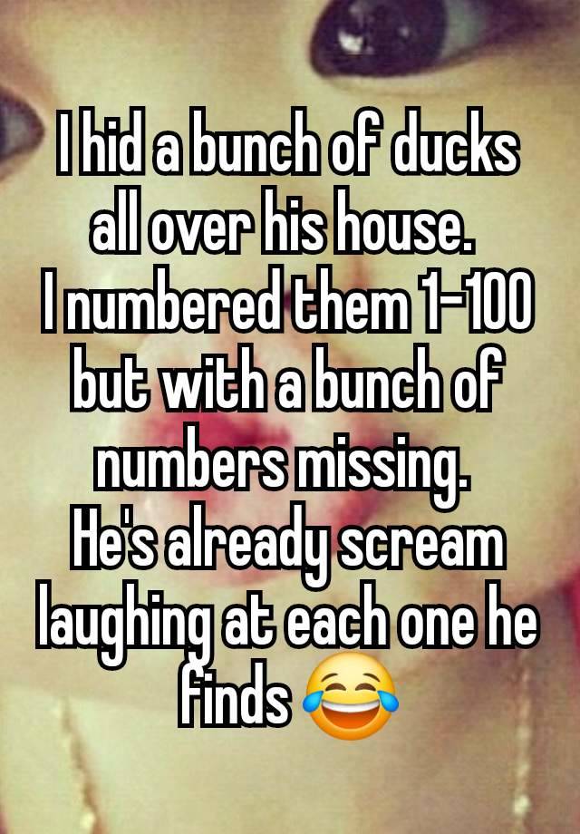 I hid a bunch of ducks all over his house. 
I numbered them 1-100 but with a bunch of numbers missing. 
He's already scream laughing at each one he finds 😂