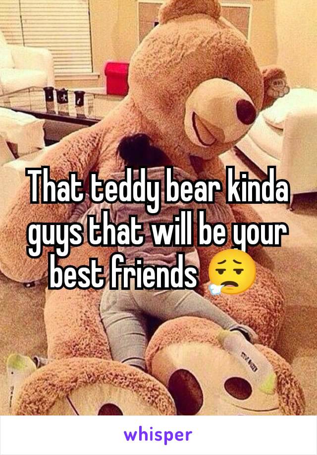 That teddy bear kinda guys that will be your best friends 😮‍💨 