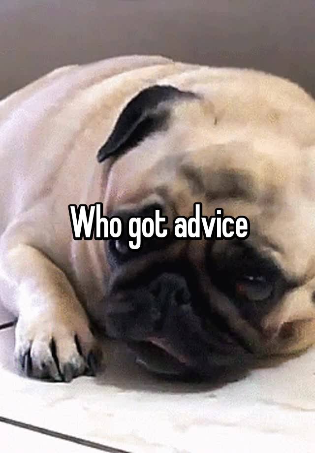 Who got advice