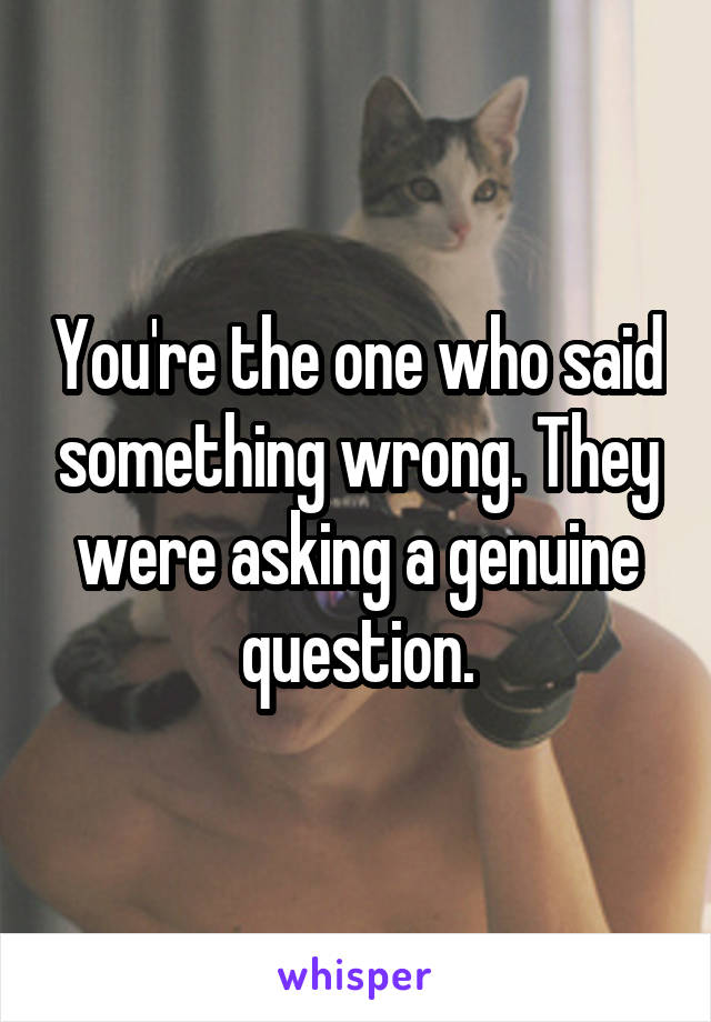 You're the one who said something wrong. They were asking a genuine question.