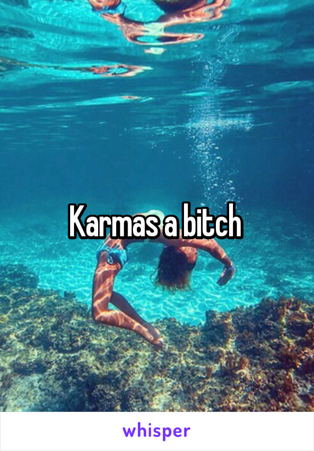 Karmas a bitch 