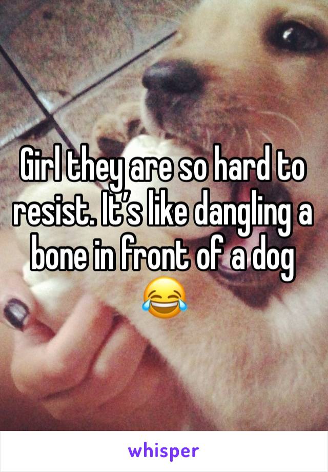 Girl they are so hard to resist. It’s like dangling a bone in front of a dog 😂