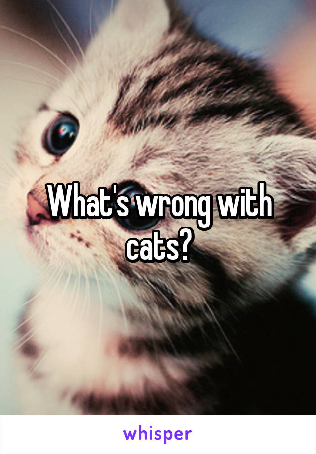 What's wrong with cats?