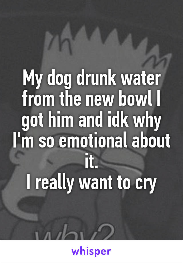 My dog drunk water from the new bowl I got him and idk why I'm so emotional about it.
I really want to cry