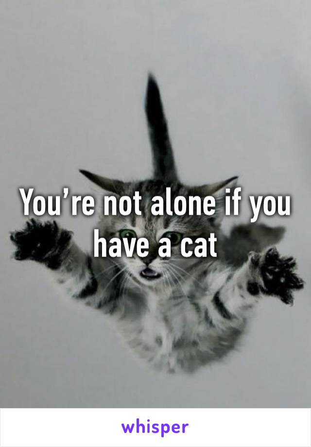 You’re not alone if you have a cat