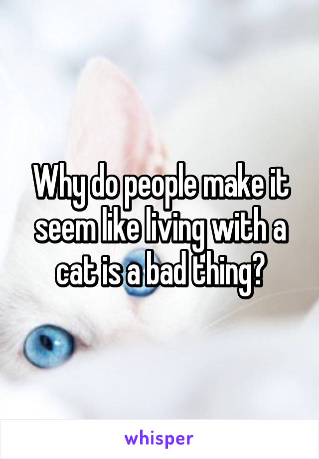 Why do people make it seem like living with a cat is a bad thing?