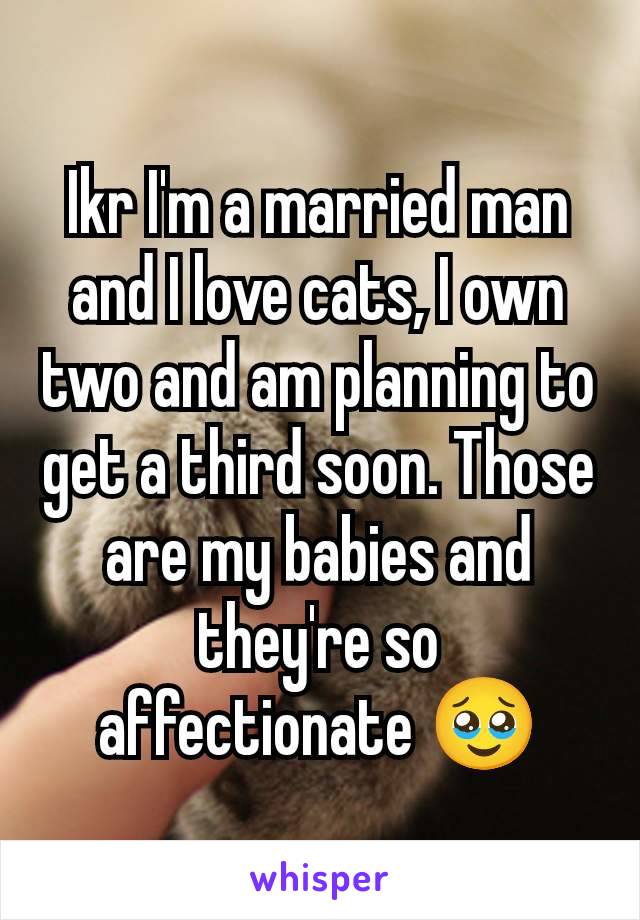 Ikr I'm a married man and I love cats, I own two and am planning to get a third soon. Those are my babies and they're so affectionate 🥹