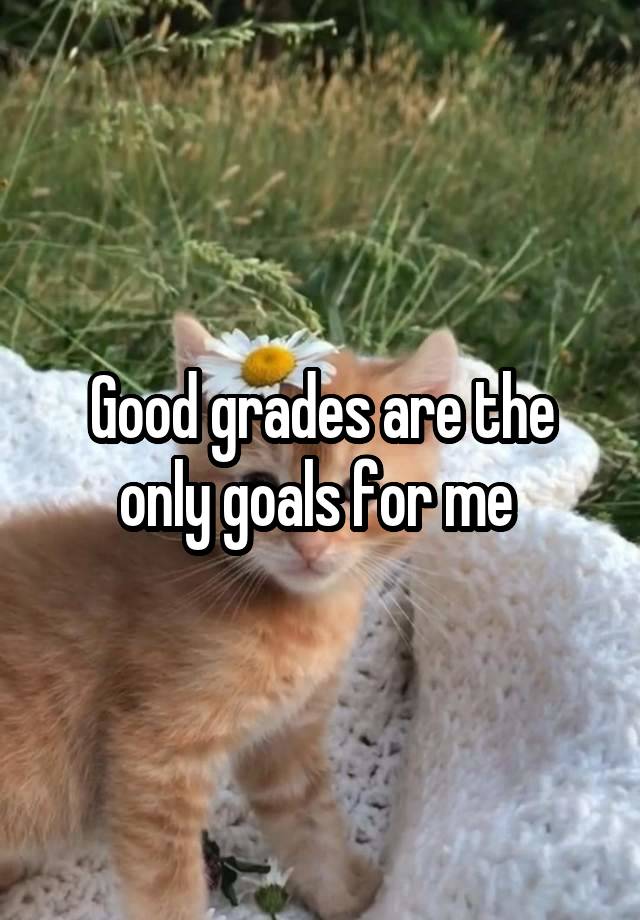 Good grades are the only goals for me 