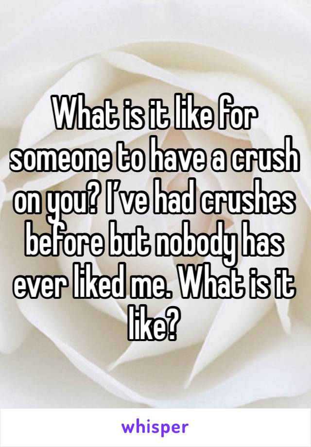 What is it like for someone to have a crush on you? I’ve had crushes before but nobody has ever liked me. What is it like? 