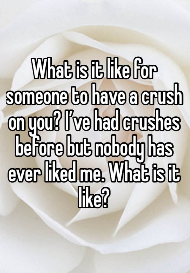 What is it like for someone to have a crush on you? I’ve had crushes before but nobody has ever liked me. What is it like? 