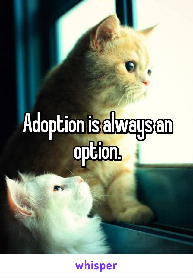 Adoption is always an option.