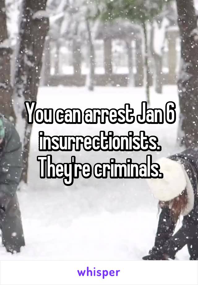 You can arrest Jan 6 insurrectionists. They're criminals.