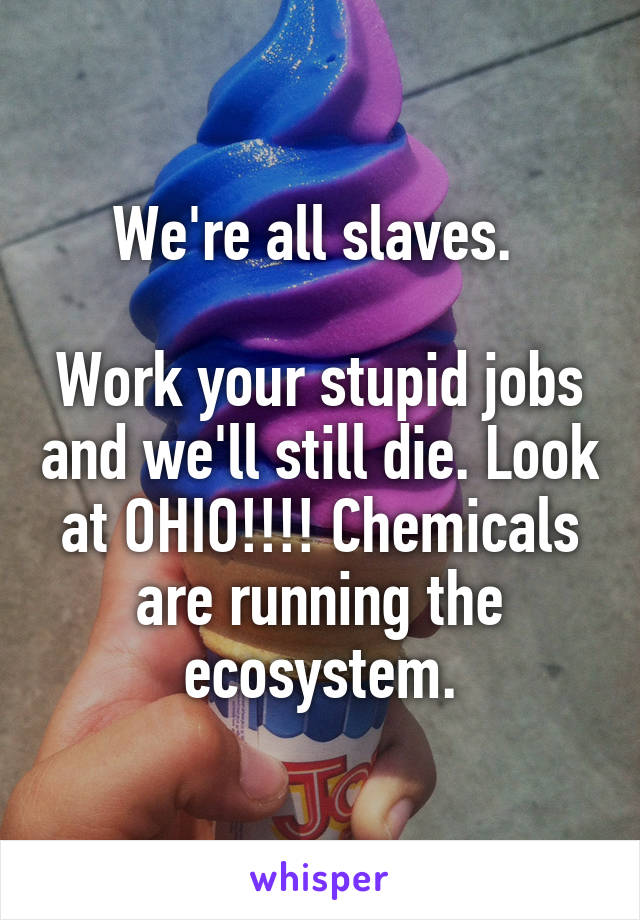 We're all slaves. 

Work your stupid jobs and we'll still die. Look at OHIO!!!! Chemicals are running the ecosystem.