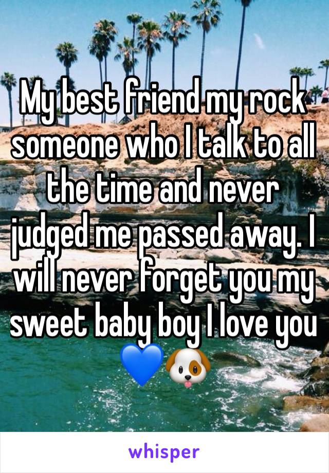 My best friend my rock someone who I talk to all the time and never judged me passed away. I will never forget you my sweet baby boy I love you 💙🐶