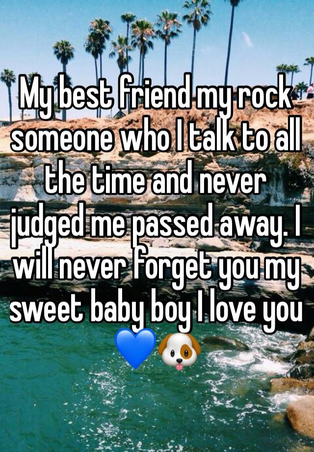 My best friend my rock someone who I talk to all the time and never judged me passed away. I will never forget you my sweet baby boy I love you 💙🐶