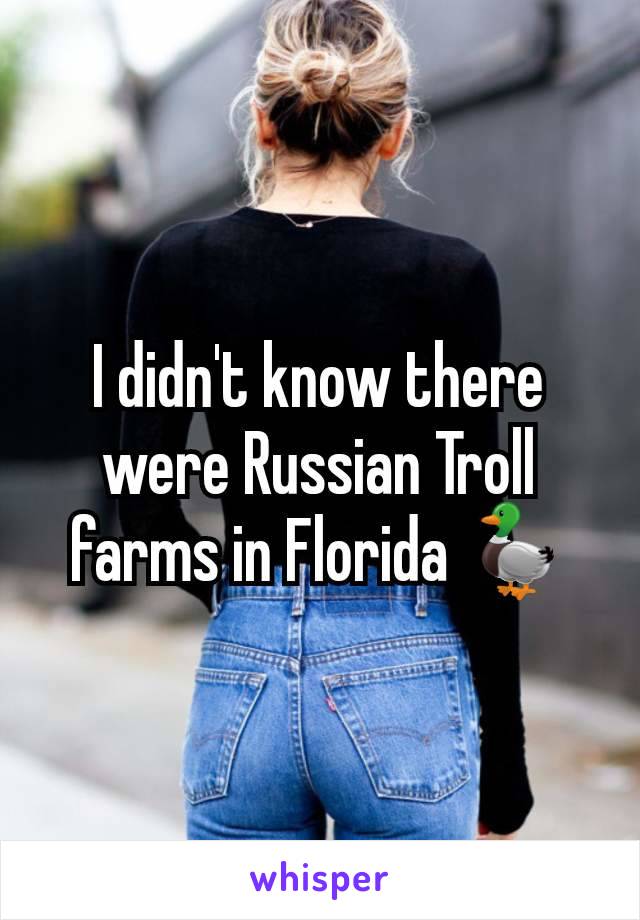 I didn't know there were Russian Troll farms in Florida 🦆