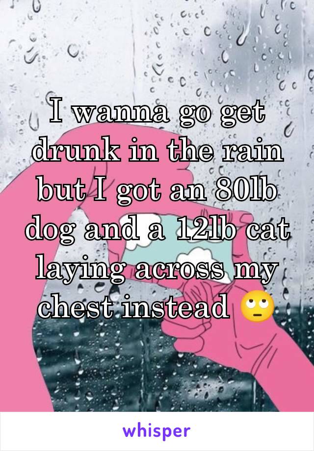 I wanna go get drunk in the rain but I got an 80lb dog and a 12lb cat laying across my chest instead 🙄