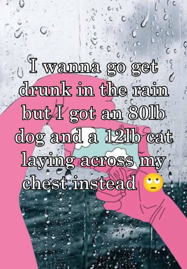 I wanna go get drunk in the rain but I got an 80lb dog and a 12lb cat laying across my chest instead 🙄