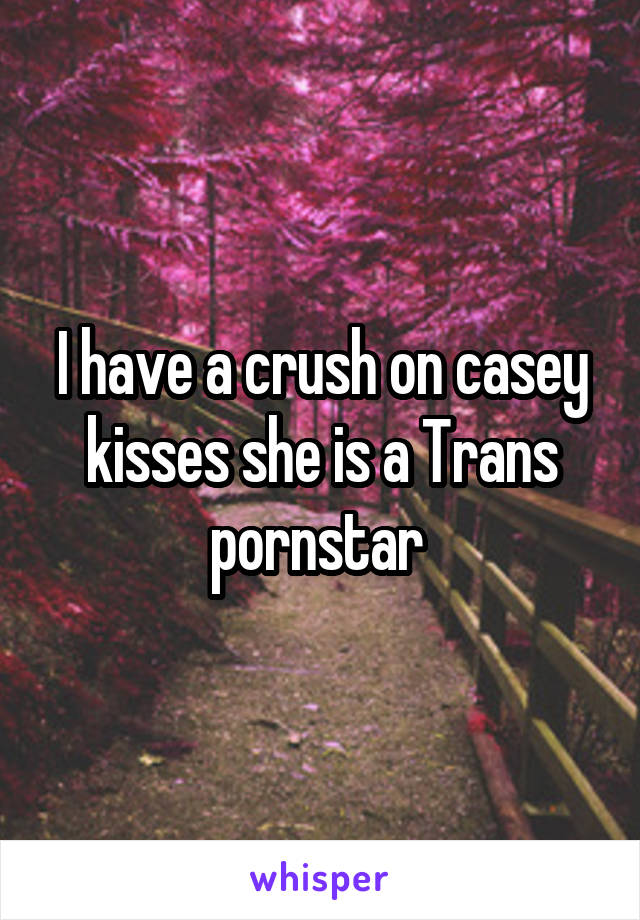 I have a crush on casey kisses she is a Trans pornstar 