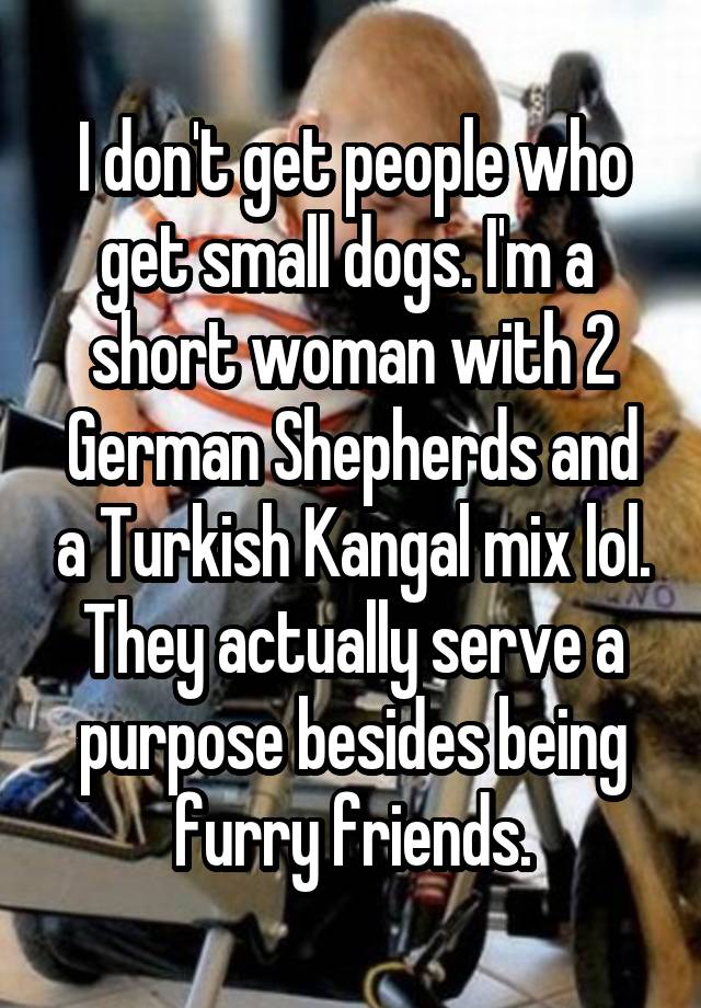 I don't get people who get small dogs. I'm a  short woman with 2 German Shepherds and a Turkish Kangal mix lol. They actually serve a purpose besides being furry friends.