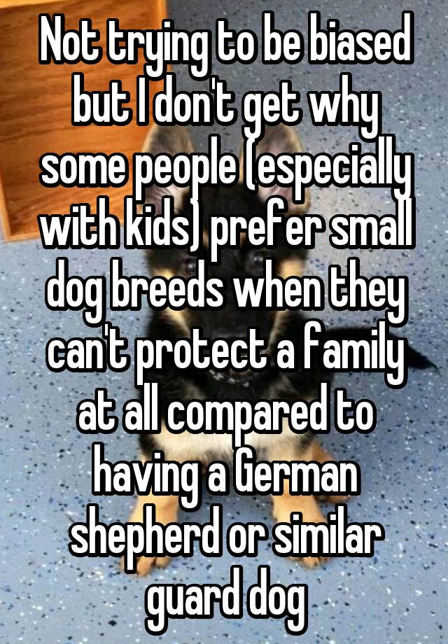 Not trying to be biased but I don't get why some people (especially with kids) prefer small dog breeds when they can't protect a family at all compared to having a German shepherd or similar guard dog