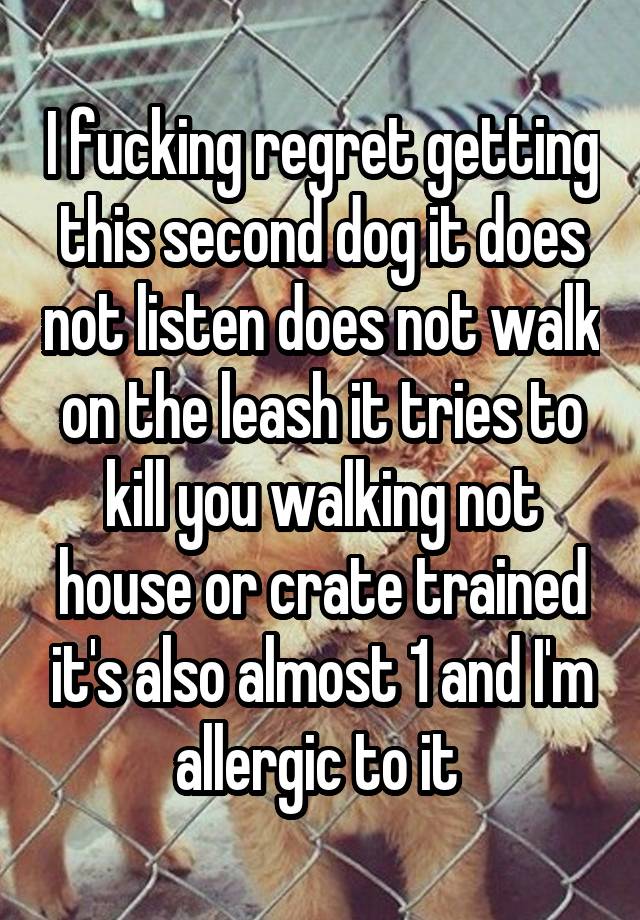 I fucking regret getting this second dog it does not listen does not walk on the leash it tries to kill you walking not house or crate trained it's also almost 1 and I'm allergic to it 