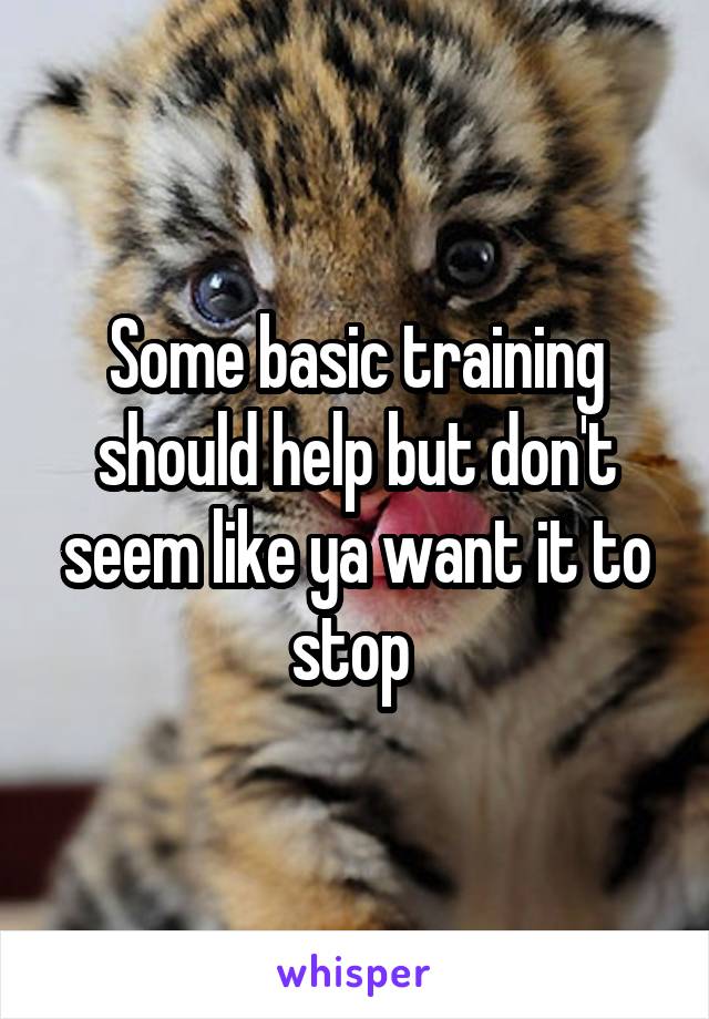 Some basic training should help but don't seem like ya want it to stop 