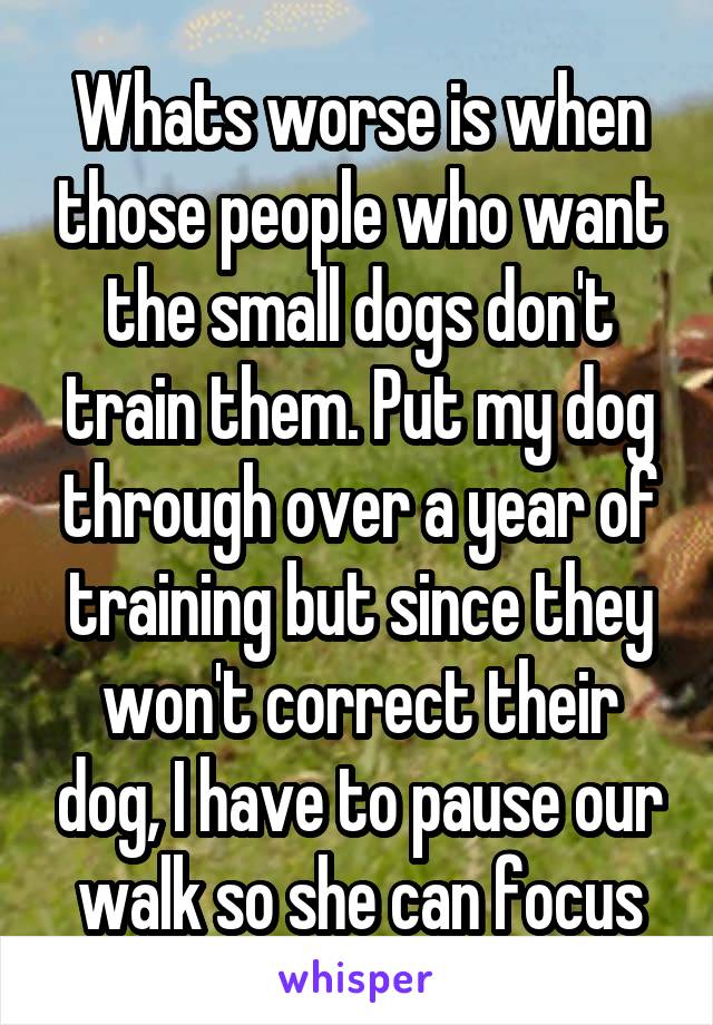 Whats worse is when those people who want the small dogs don't train them. Put my dog through over a year of training but since they won't correct their dog, I have to pause our walk so she can focus