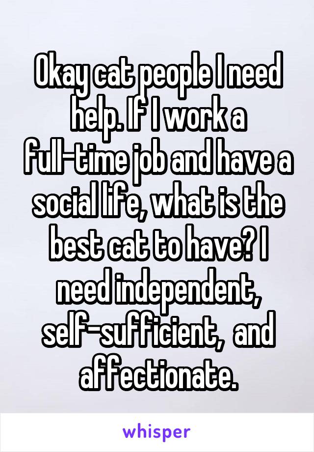 Okay cat people I need help. If I work a full-time job and have a social life, what is the best cat to have? I need independent, self-sufficient,  and affectionate.