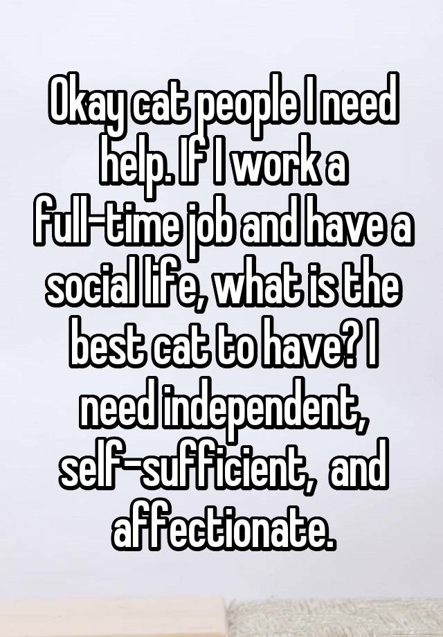 Okay cat people I need help. If I work a full-time job and have a social life, what is the best cat to have? I need independent, self-sufficient,  and affectionate.