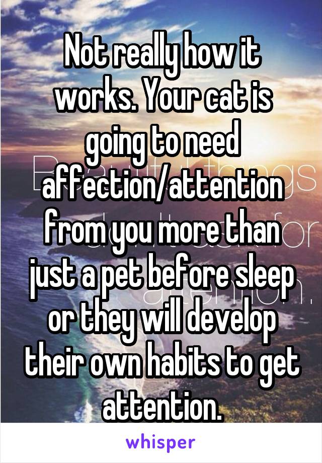 Not really how it works. Your cat is going to need affection/attention from you more than just a pet before sleep or they will develop their own habits to get attention.