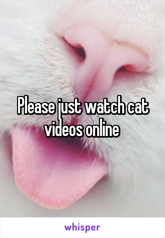 Please just watch cat videos online 