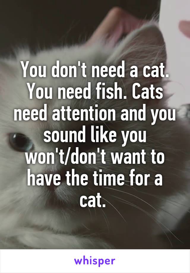 You don't need a cat. You need fish. Cats need attention and you sound like you won't/don't want to have the time for a cat. 