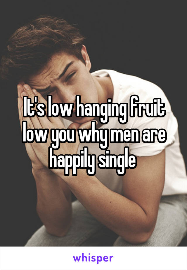 It's low hanging fruit low you why men are happily single 