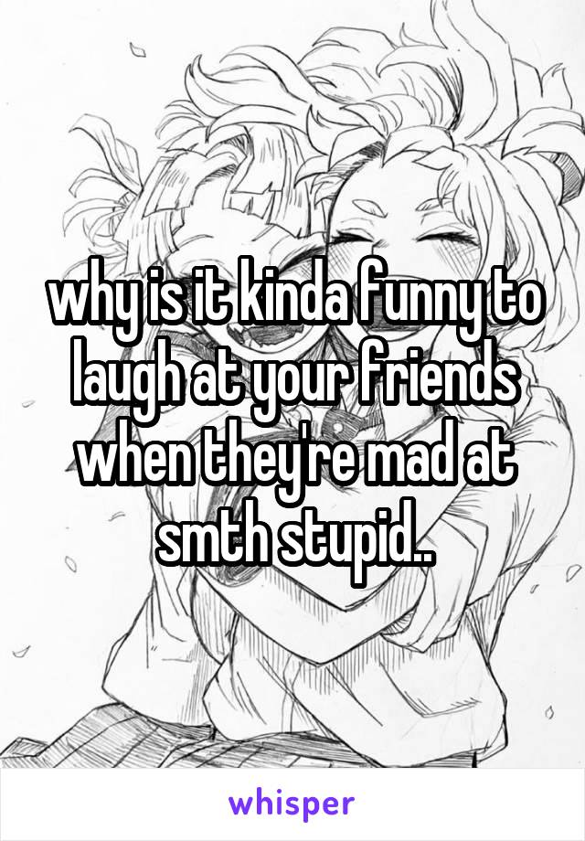 why is it kinda funny to laugh at your friends when they're mad at smth stupid..