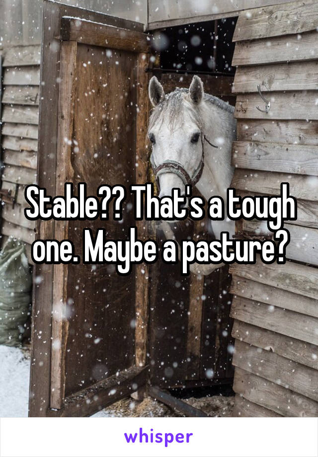 Stable?? That's a tough one. Maybe a pasture?