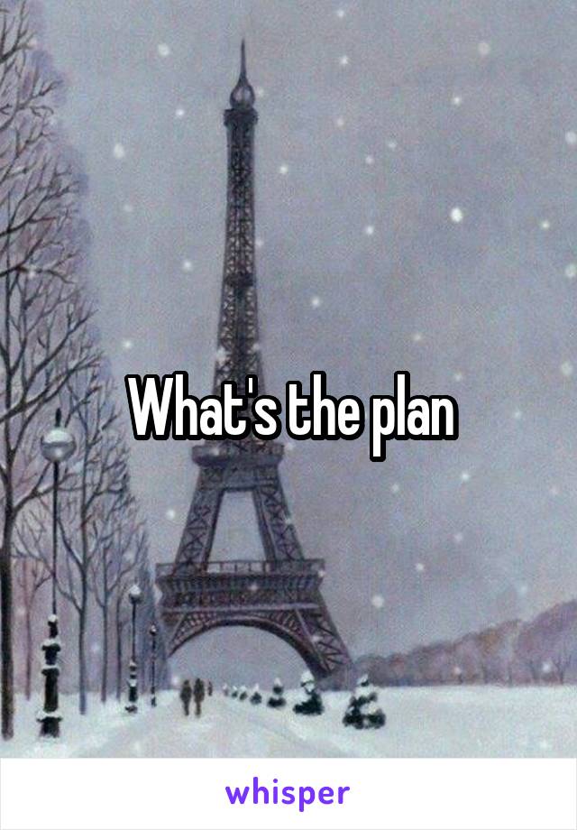 What's the plan