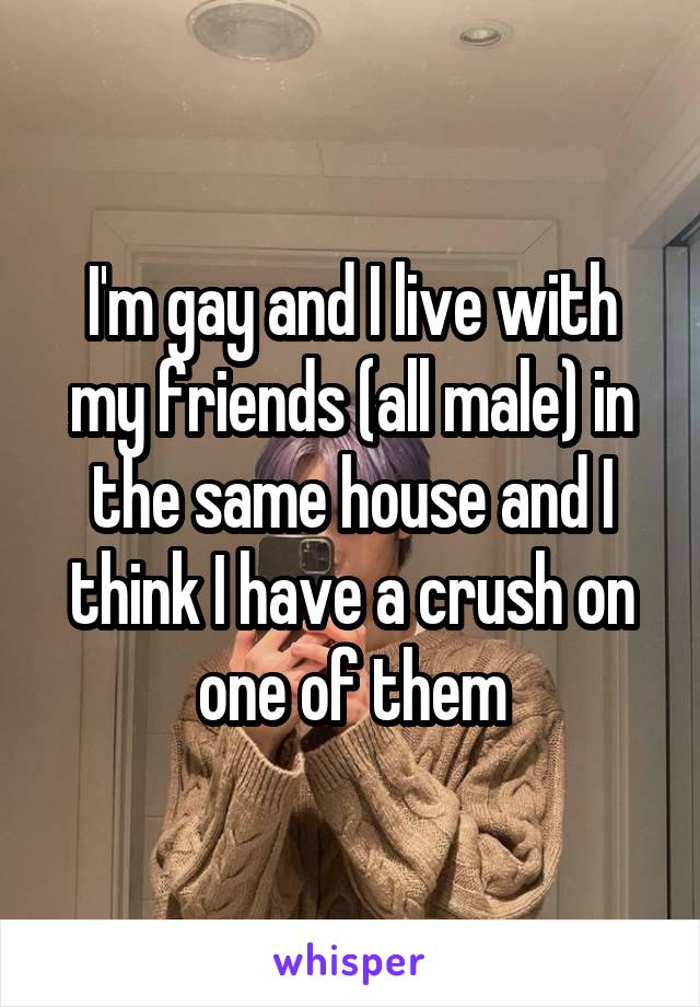 I'm gay and I live with my friends (all male) in the same house and I think I have a crush on one of them