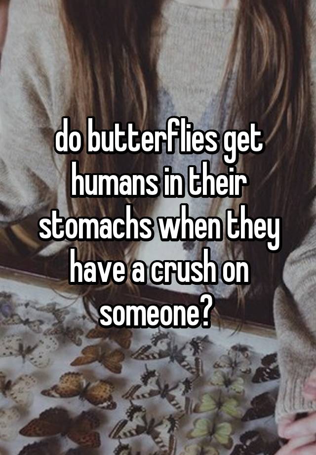 do butterflies get humans in their stomachs when they have a crush on someone? 