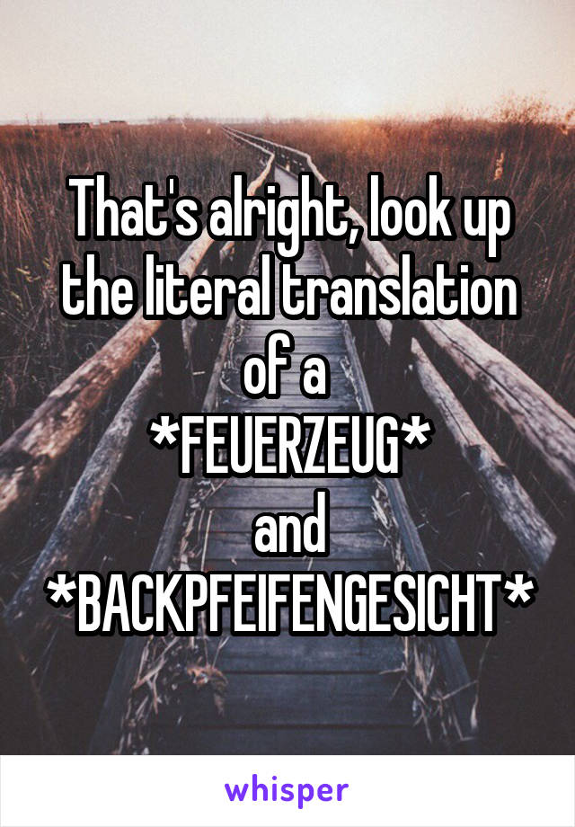 That's alright, look up the literal translation of a 
*FEUERZEUG*
and
*BACKPFEIFENGESICHT*