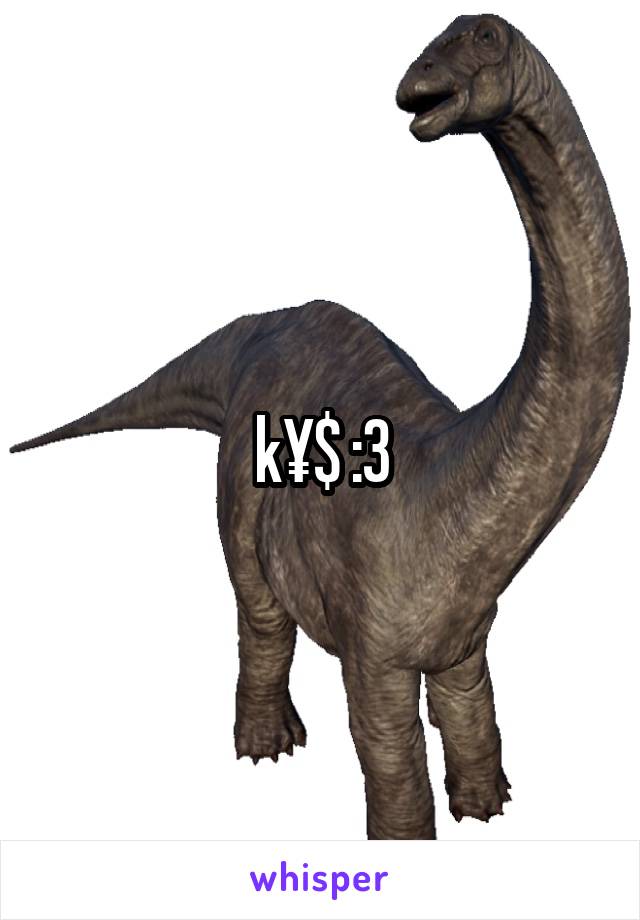 k¥$ :3