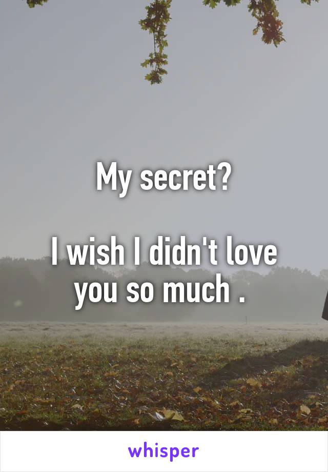 My secret?

I wish I didn't love you so much . 