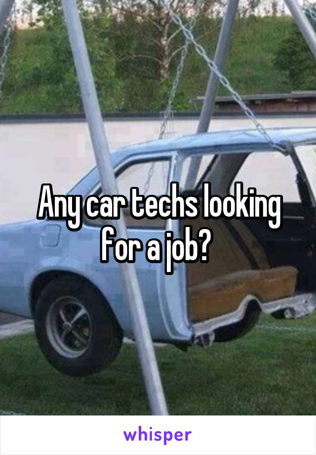 Any car techs looking for a job? 